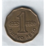 1 nuevo peso 